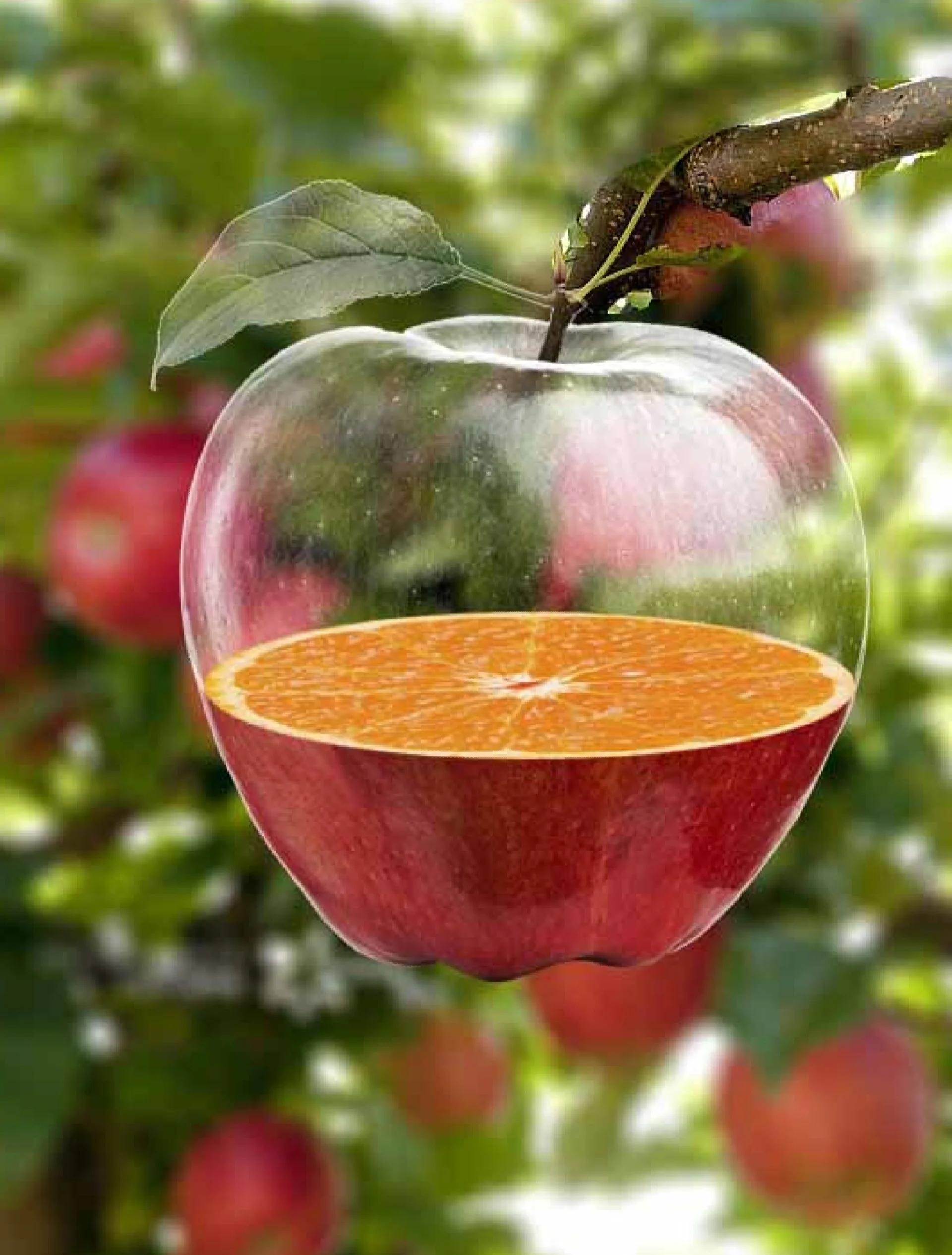 手机版ps软件苹果(photoshop手机版苹果)-第11张图片-有道翻译官网 手机版ps软件苹果(photoshop手机版苹果)-第11张图片-有道翻译官网