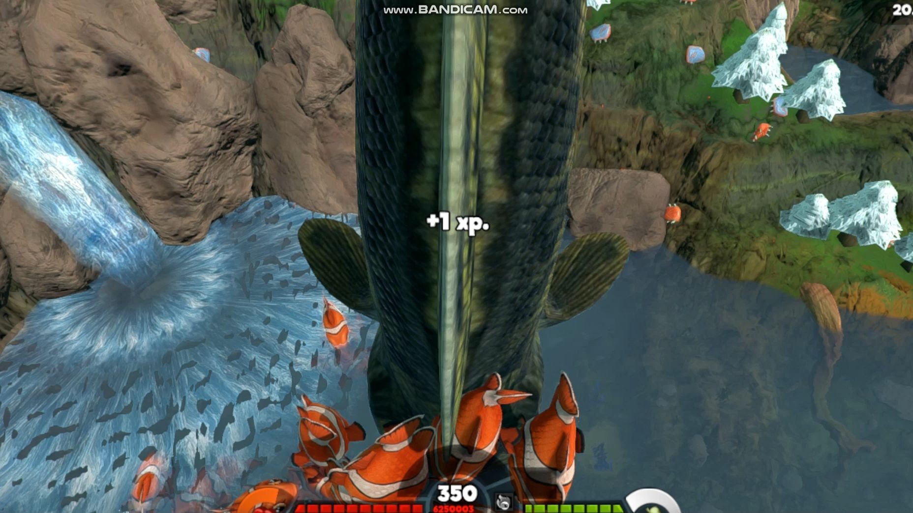 海底大猎杀手机版苹果版(海底大猎杀苹果手机版下载教程)-第7张图片-有道翻译官网