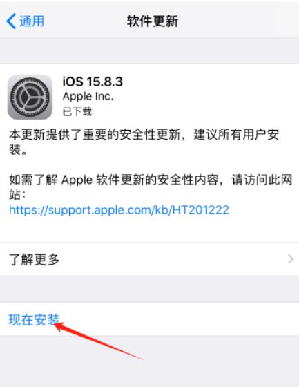 苹果版ios版用不了吗(苹果为什么不能下载更高版本)-第2张图片-有道翻译官网