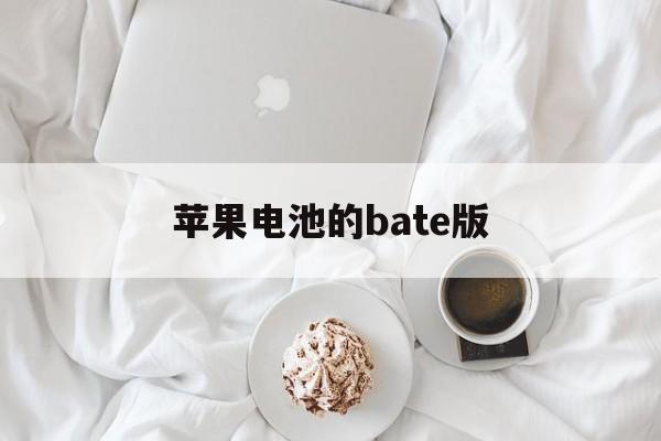 苹果电池的bate版(苹果电池beta版有什么不一样)-第4张图片-有道翻译官网