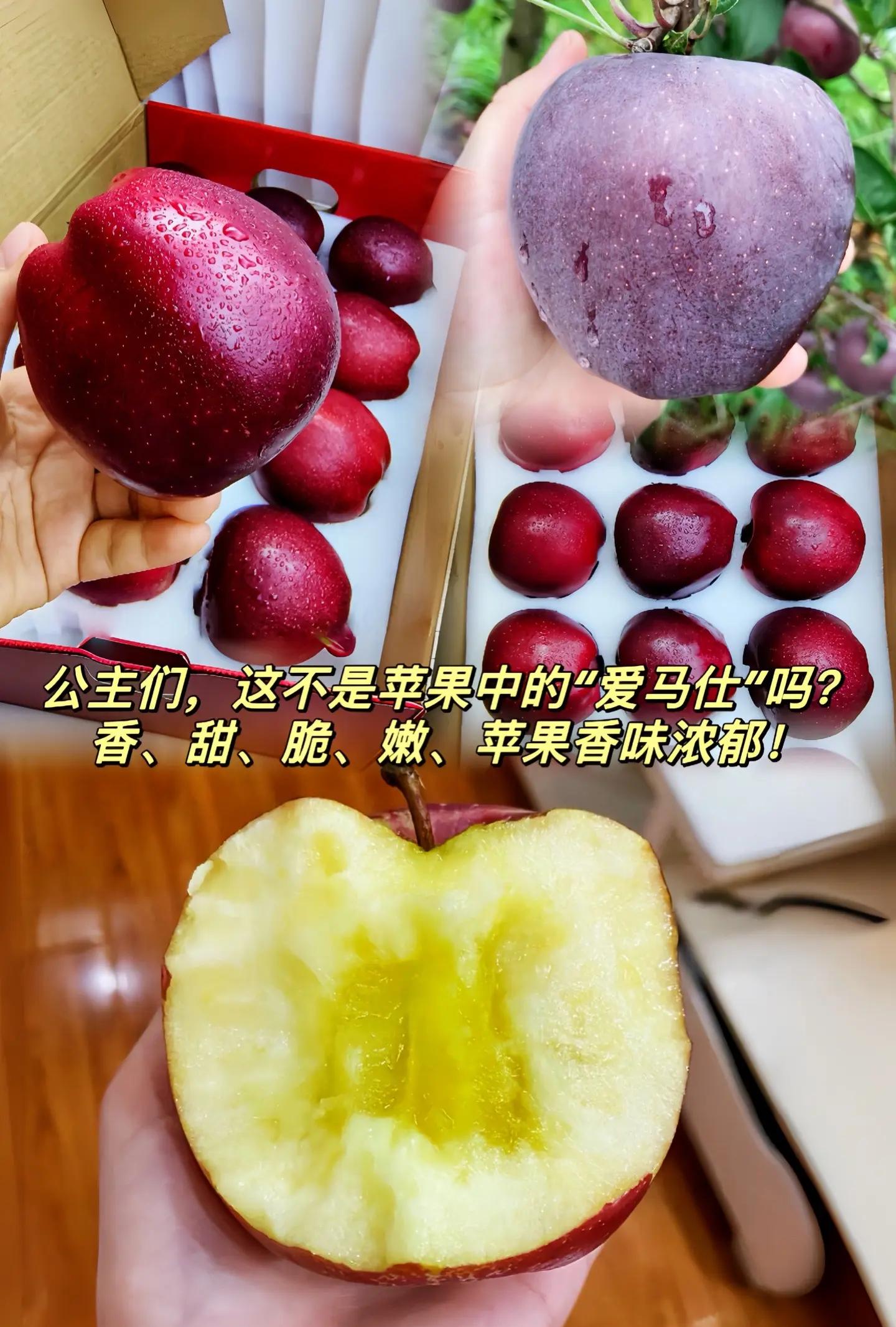 苹果12黑钻版(苹果12黑128g多少钱)-第4张图片-有道翻译官网