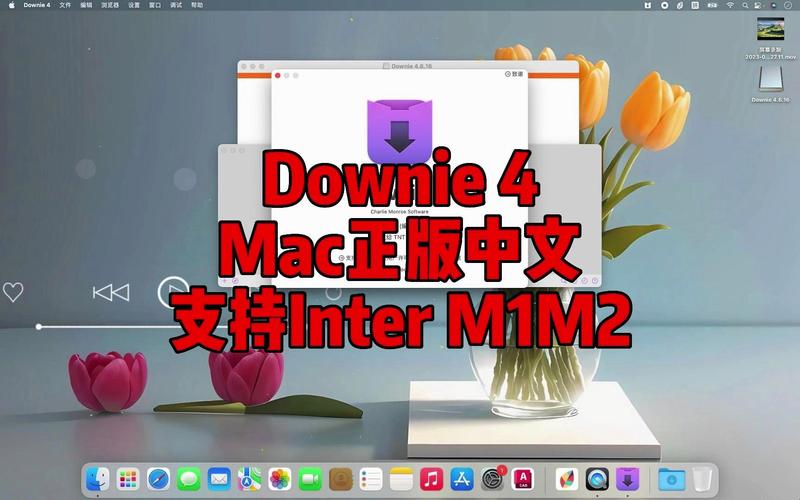 苹果永久版软件下载(ios破解版永久免费内购软件)-第9张图片-有道翻译官网